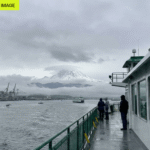 ai image generators are getting better by getting worse