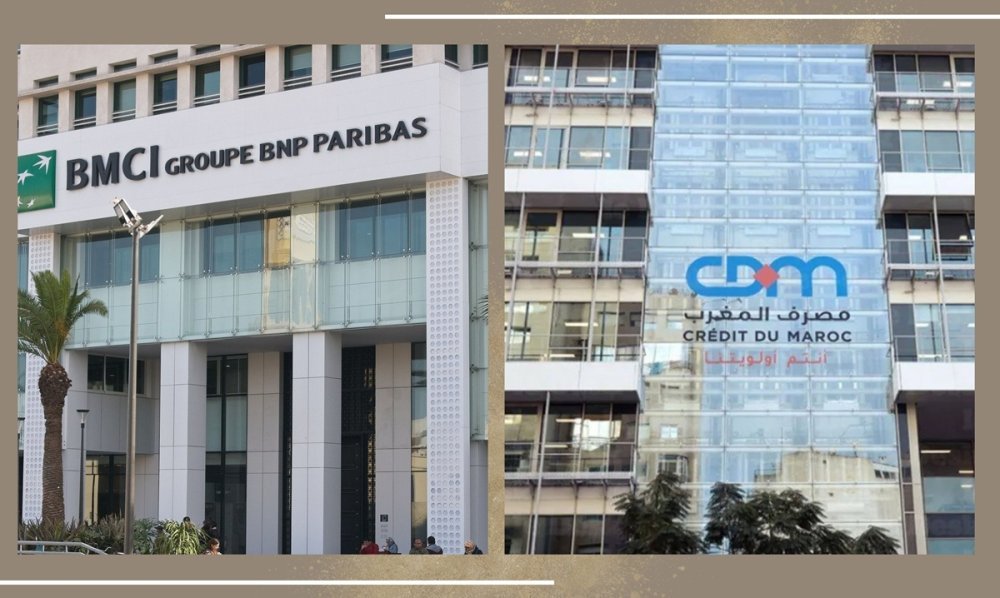 Ce que pèserait l’ensemble Crédit du Maroc-BMCI en cas de fusion 3 Les banques marocaines, un secteur en constante évolution.