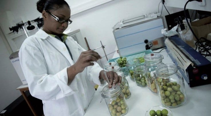 Texte Alt : "Changement climatique et sécurité alimentaire"