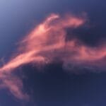 لون بانتون 2026