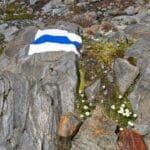 معادن الصين النادرة