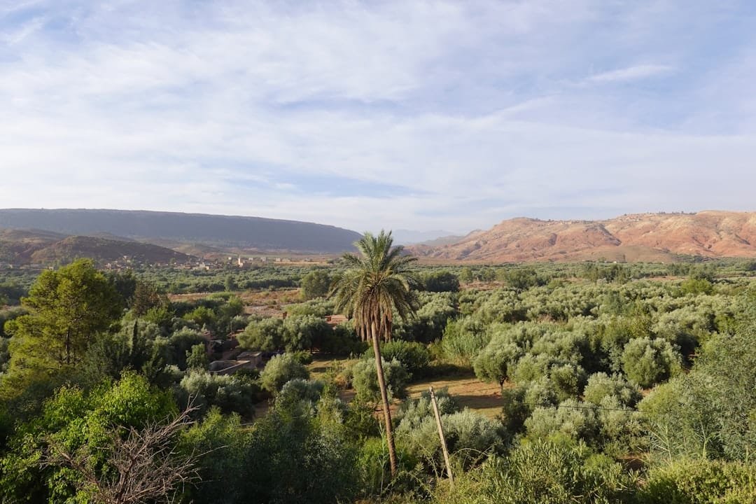 الإحسان إلى البيئة