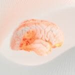 وجبة خفيفة يومية تحسّن الذاكرة خلال أربعة أشهر! 5 تحسين الذاكرة