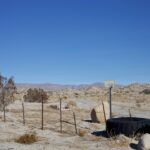 مقاتلة إف-16