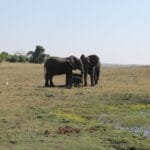 cropentropycstinysrgbfitmaxfmjpgixidM3w4MzgzNDZ8MHwxfHNlYXJjaHwxfHxaYW1iaWElMjB0b3hpYyUyMHNwaWxsfGVufDB8MHx8fDE3NjQ3MTY5MTJ8MAixlibrb 4.1.0q80w1080f