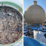 ** صورة لسيارة نقل بضائع محملة بحوالي طن من صلصلة الفلفل الحار "الهريسة" الفاسدة.