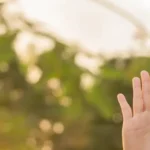 صورة لشخص يلمس فاكهة.