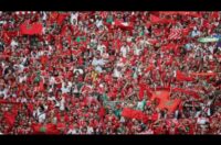 صورة لجماهير كرة القدم الإفريقية في مدرجات الملعب.