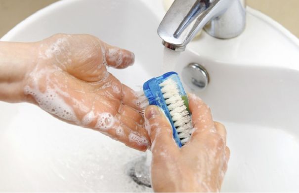 صورة لدماغ الإنسان مع علامات على مناطق مختلفة.