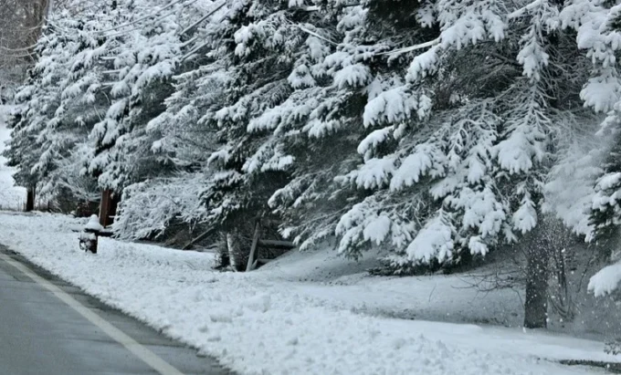 صورة لثلوج في مملكة المغرب