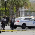 صورة جمجمة قديمة مع دماغ محفوظ.