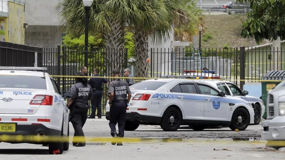 صورة جمجمة قديمة مع دماغ محفوظ.