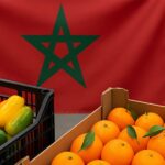 صورة لمنتجات الفواكه والخضر في السوق الإسبانية.