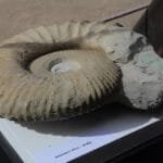 وصف الصورة: "كنوز نادرة مهربة من المغرب"