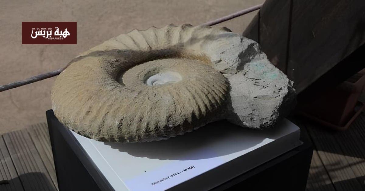 وصف الصورة: "كنوز نادرة مهربة من المغرب"