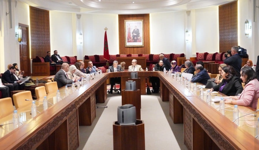 ** صورة لطفل يلعب في حديقة.