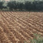 صورة للمبنى الرئيسي لديوان المحاسبة في عمان.