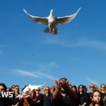 **صور فوتوغرافية تُذكّرنا بالجمال الطبيعي والتحديات التي يواجهها البشر**