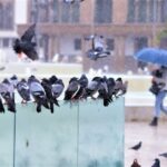 وصف الصورة: صورة جو ممطر مع رعد ودرجات حرارة منخفضة.