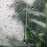 طقس يوم غد الأحد.. زخات