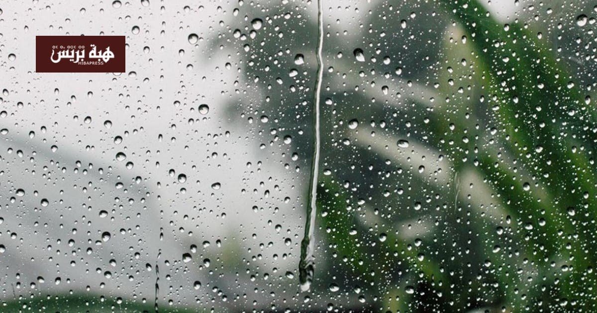 طقس يوم غد الأحد.. زخات