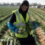 "على أوروبا استقبال المهاجرين وإلا