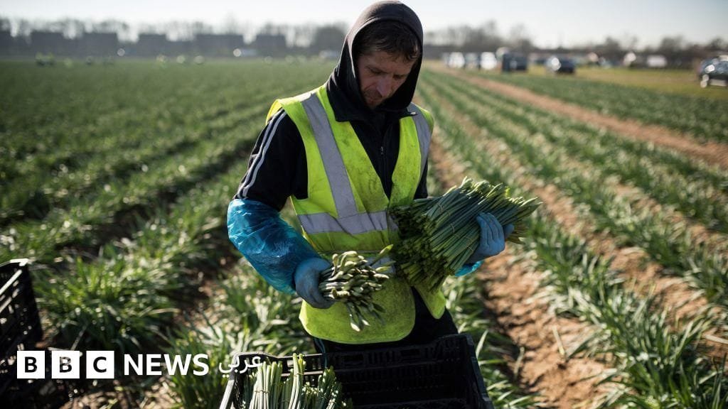"على أوروبا استقبال المهاجرين وإلا