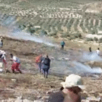 صورة لضحية هجمات المستوطنين أو للاعتصامات في الضفة الغربية