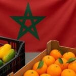 متجاوزا تركيا واليونان.. المغرب يفرض سيطرته على سوق الفلفل والماندرين بأوروبا 8 **وصف الصورة بالإنجليزية: الصورة تعرض صادرات الفلفل الحلو من المغرب إلى الأسواق الأوروبية**
