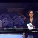 صورة خضروات صليبية تظهر في طبق، مع وصفة بالإنجليزية: "Fresh cruciferous vegetables on a plate".