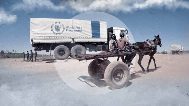 صورة لمنطقة طويلة في السودان، حيث يعيش النازحون في ملاجئ هشّة.