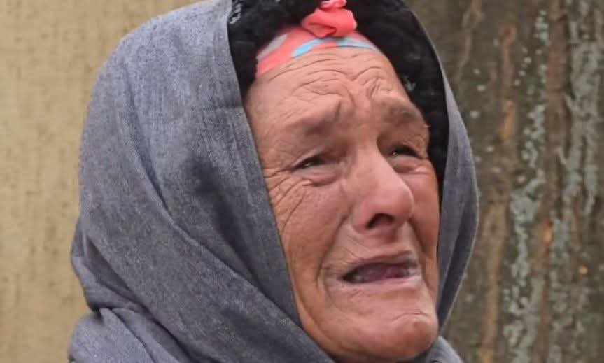 صورة لطالب يرعى كلب في مريرت.