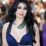 صورة الفنانة هيفاء وهبي