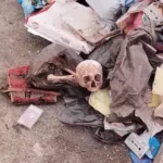 Un crâne humain découvert dans le dock de Safi