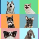 optimization**: The rewritten article includes image optimization techniques such as alt tags and descriptive text to improve image search visibility.