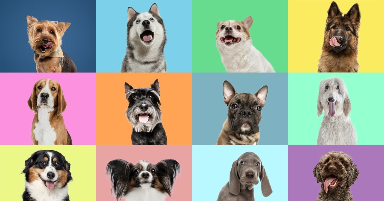 optimization**: The rewritten article includes image optimization techniques such as alt tags and descriptive text to improve image search visibility.