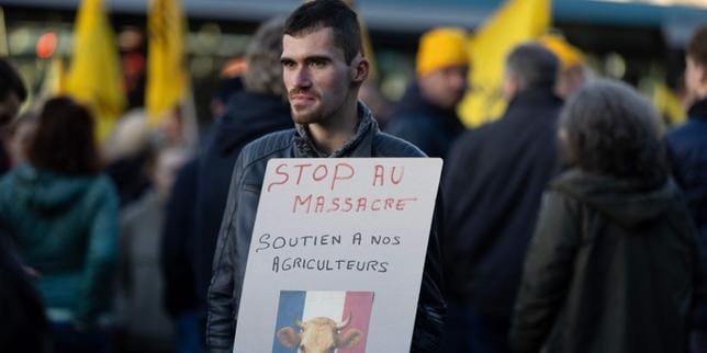 Manifestation contre la politique d'abattage systématique des bêtes en raison de la dermatose nodulaire contagieuse.