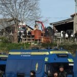 Les gendarmes surveillent l'enlèvement du cadavre d'une vache dans une ferme touchée par la dermatose.