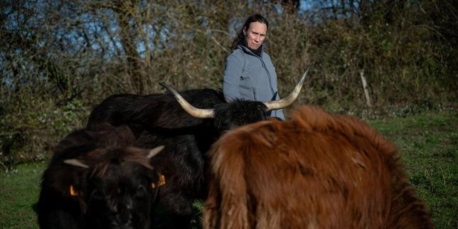 Une éleveuse d'Ain témoigne de l'impact de la dermatose nodulaire contagieuse sur son activité.