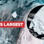 Global observation from space