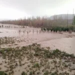 Image d'un véhicule tout-terrain renversé dans une vallée inondée.