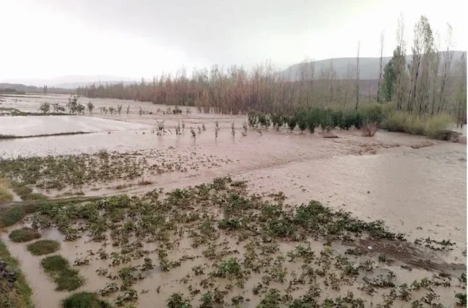 Image d'un véhicule tout-terrain renversé dans une vallée inondée.