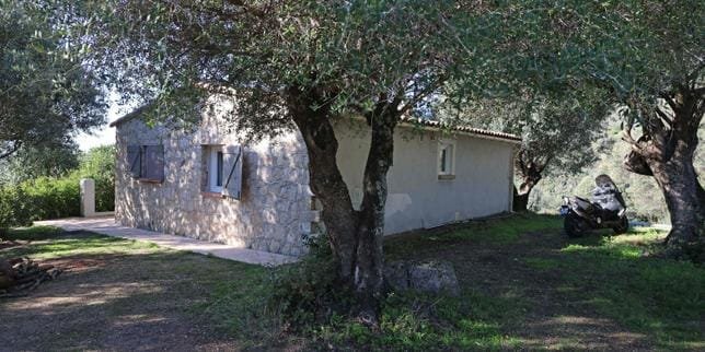 L'interpellation de Mickaël Ettori par les gendarmes en Corse-du-Sud.