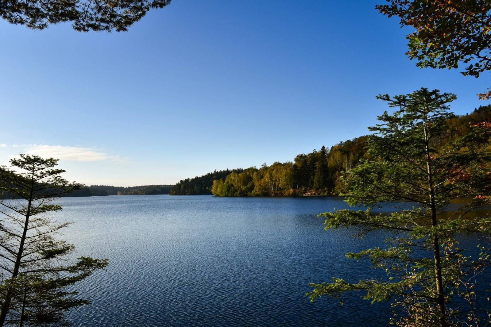 Pierre Serna : L'historien au cœur de la polemique