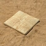 Bases de la thérapie cognitivo-comportementale et au-delà par Judith s. beck