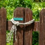 guide des publicités sur les réseaux sociaux