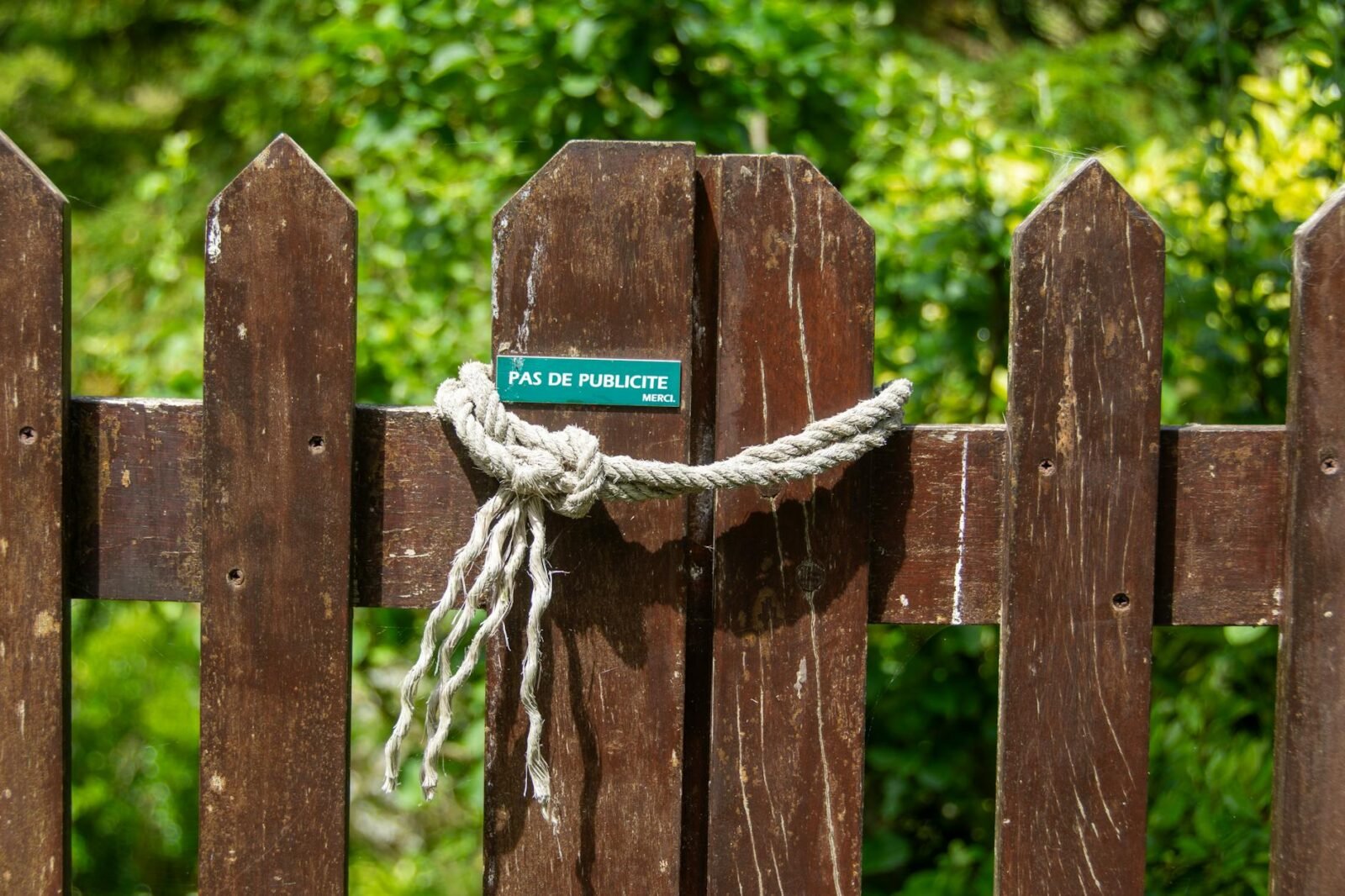 guide des publicités sur les réseaux sociaux