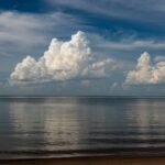 True Classic Tees Deals for the 2025 Holidays: 25 Percent Off Crew Necks