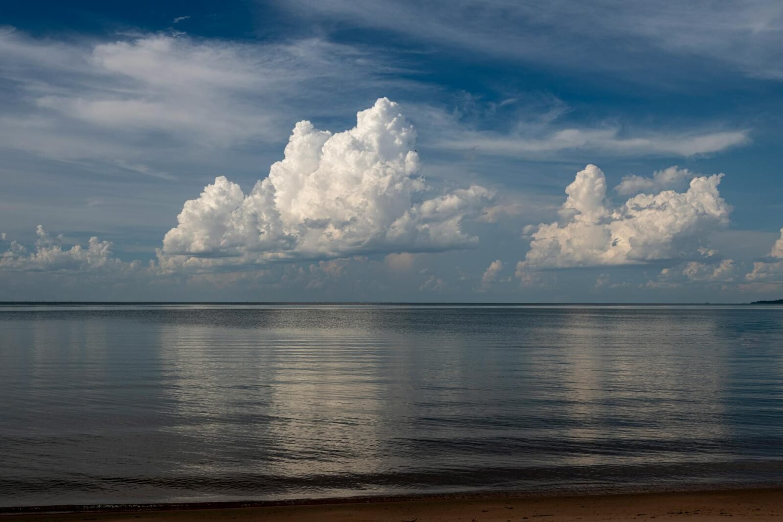 True Classic Tees Deals for the 2025 Holidays: 25 Percent Off Crew Necks