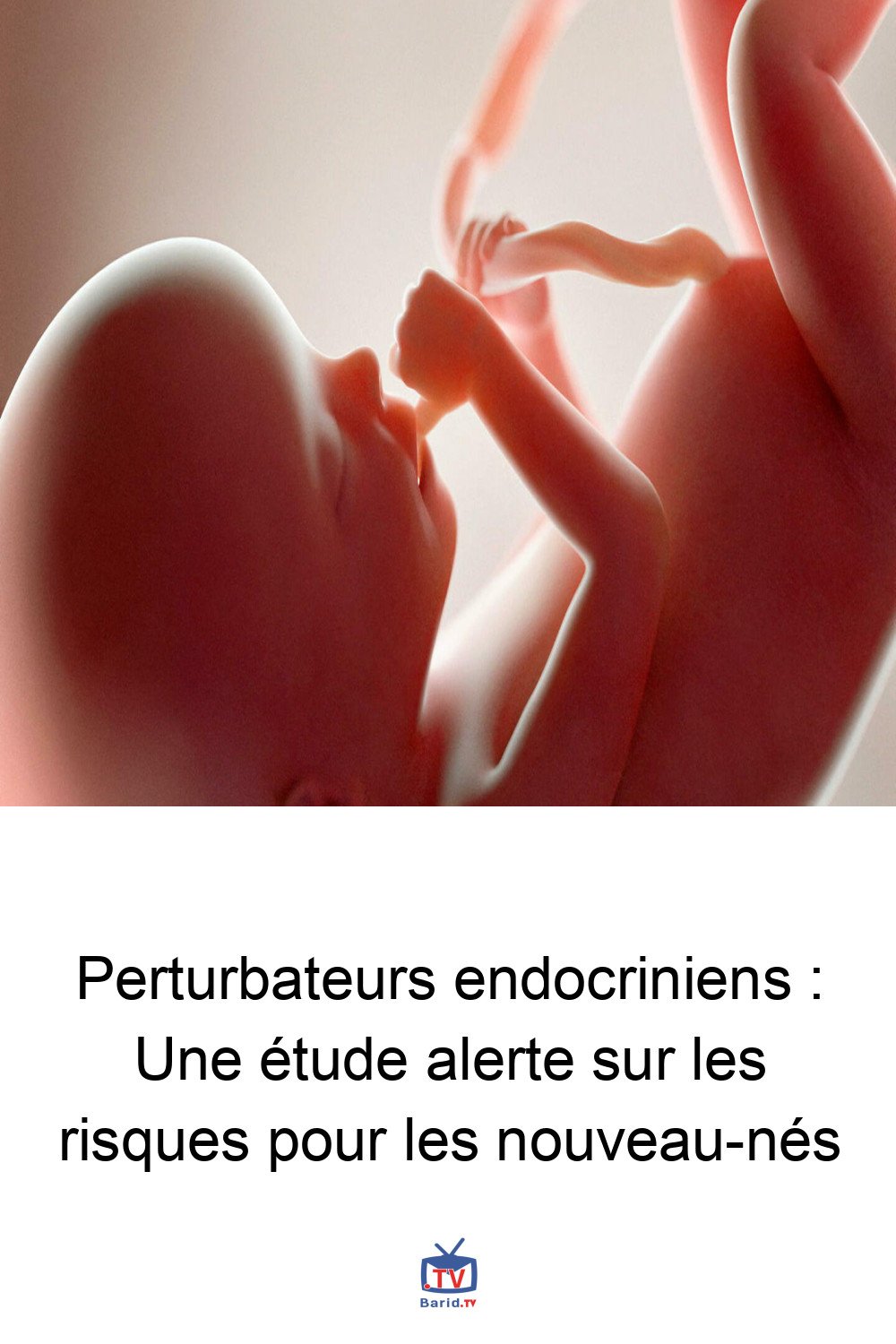 Pinterest Hidden